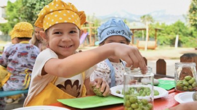 Antalya'da zeytini ekipler topladı, minik eller işledi