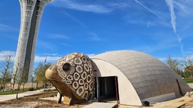COP31'in maskotu 'caretta caretta' için pavilyon tasarlandı