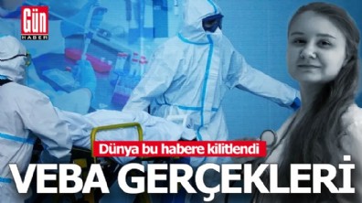 Dünya bu habere kilitlendi! Veba gerçekleri