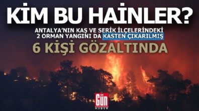 Kim bu hainler?