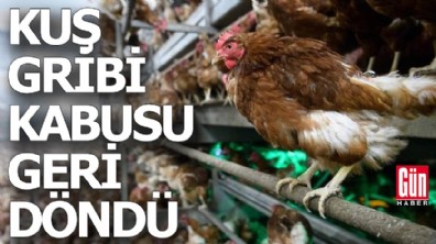 Kuş gribi kabusu geri döndü: Avrupa ülkesi karantina kararı aldı