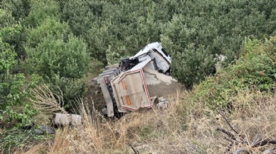 TIR elma bahçesine uçtu, sürücü öldü