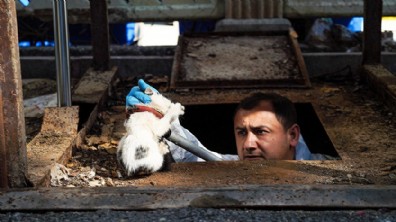 Yer altı çöp konteynerinin altına düşen kedi kurtarıldı