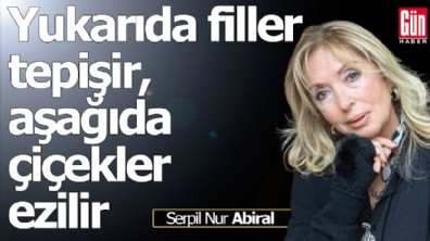 Yukarıda filler tepişir, aşağıda çiçekler ezilir