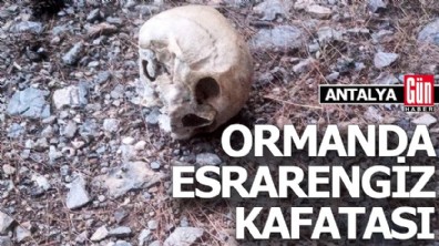 Antalya'da ormanda esrarengiz kafatası