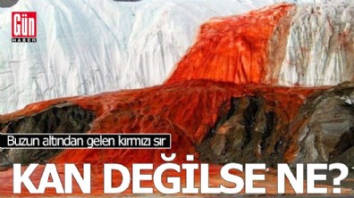 Buzun altından gelen kırmızı sır: Kan değilse ne?