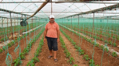 Serik'te kapya biber ekimine başlandı