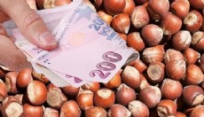 2026-2027 dönemi fındık alım fiyatları açıklandı