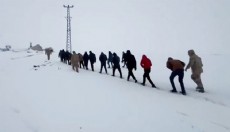 26 ilde göçmen kaçakçılığı operasyonu: 59 tutuklama