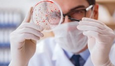 30 yıl sonra yeniden hortladı, Avrupa alarma geçti