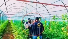 7 yıl önce işlenen cinayetin hükümlüsü Antalya’da yakalandı