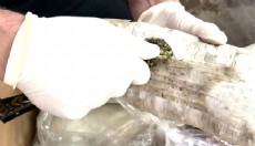 71 ilde uyuşturucu operasyonları: 373 tutuklama