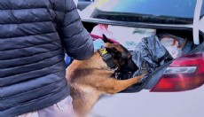 73 ilde uyuşturucu operasyonu; 475 tutuklama