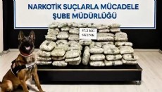 73 ildeki uyuşturucu operasyonlarında 935 tutuklama