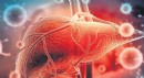 AB’den tatil beldelerinde Hepatit A uyarısı