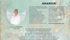 ANAMSIN