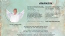 ANAMSIN