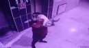 Acımasızlığın bu kadarı: Hamile kediyi yere fırlattı