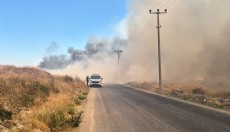 Afyon'da arazi yangını söndürüldü