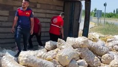 Afyon'da patates yüklü kamyon devrildi