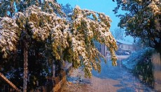 Ağlasun'da kar etkili oldu