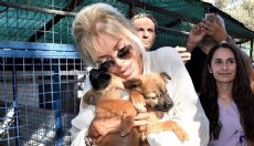 Ajda Pekkan'dan sokak hayvanları çağrısı
