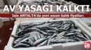Akdeniz'de av yasağı kalktı! Antalya'da yeni sezon balık fiyatları