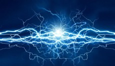 Akıma kapılan 14 büyükbaş öldü