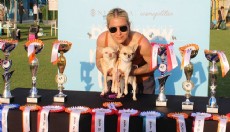 Aladar, 1500 köpek arasında Türkiye şampiyonu oldu