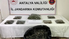 Antalya'da 800 gram esrar ele geçirildi