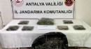 Antalya'da 800 gram esrar ele geçirildi