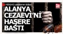 Alanya'da hükümlüler tahtakurusu ile boğuşuyor