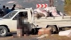 Alanya'da kaza yapan kamyonet sürücüsü yaşamını yitirdi
