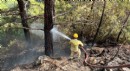 Alanya'da ormanda yangını