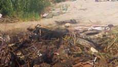 Alanya'da otluk alanda çıkan yangın söndürüldü