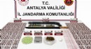 Alanya’da uyuşturucu operasyonu