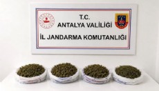 Alanya'da uyuşturucu operasyonu