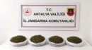 Alanya'da uyuşturucu operasyonu