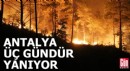 Alanya'daki orman yangınında 3'üncü gün