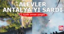 Alevler Antalya'yı sardı! 2 ilçede orman yangını