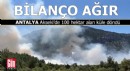 Antalya Akseki'deki yangının bilançosu ağır