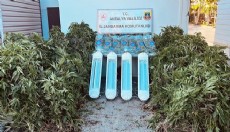 Antalya Aksu’da uyuşturucu operasyonu