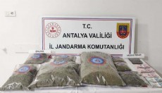 Antalya Elmalı’da uyuşturucu operasyonu
