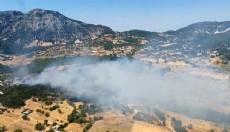 Antalya Kaş'ta orman yangını