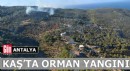 Antalya Kaş'ta orman yangını