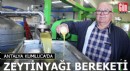 Antalya Kumluca'da zeytinyağı bereketi