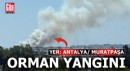 Antalya Muratpaşa'da orman yangını