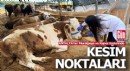 Antalya Muratpaşa ve Kepez'de kurban kesim yerleri belli oldu
