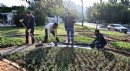 Antalya Trafik Parkı çiçek bahçesine dönüştü