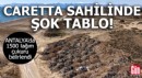 Antalya caretta sahilinde şok tablo!
